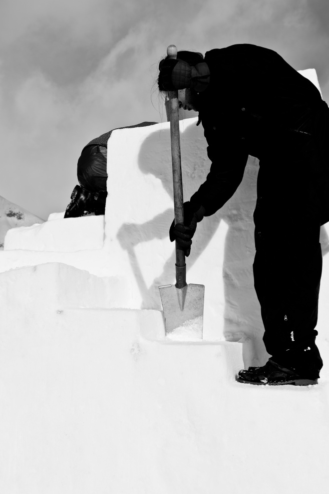ART IN ICE - work in progress 2012