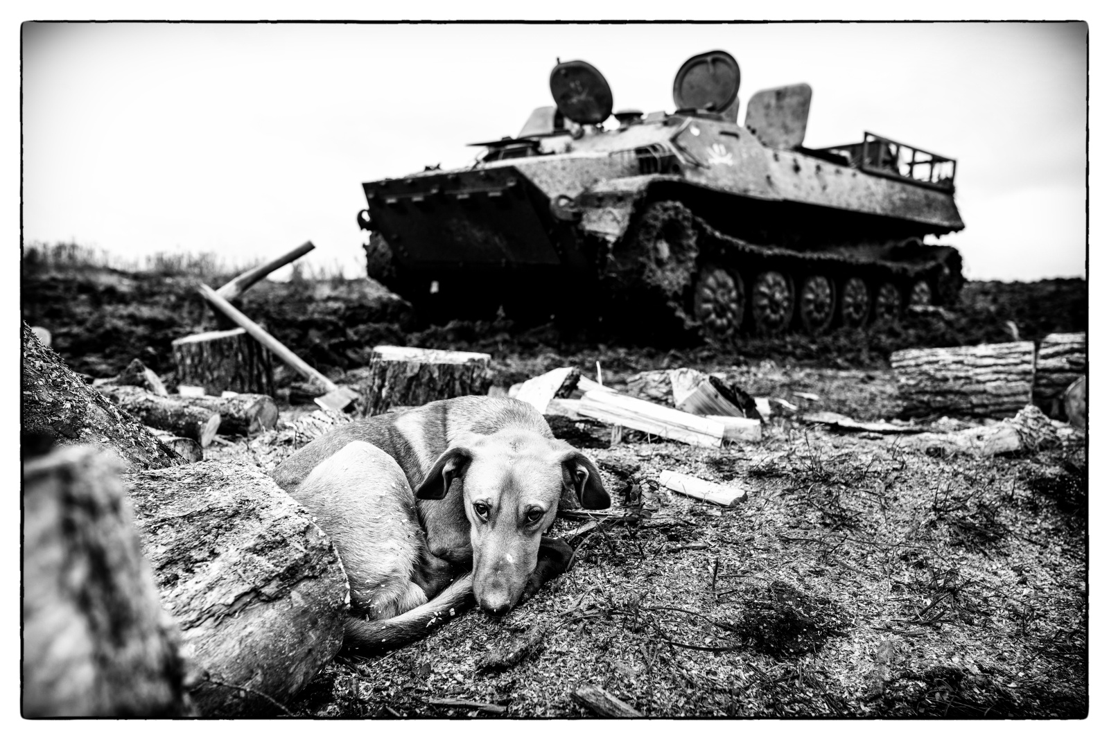 Donbass, Ukraine (2016). The forgotten war